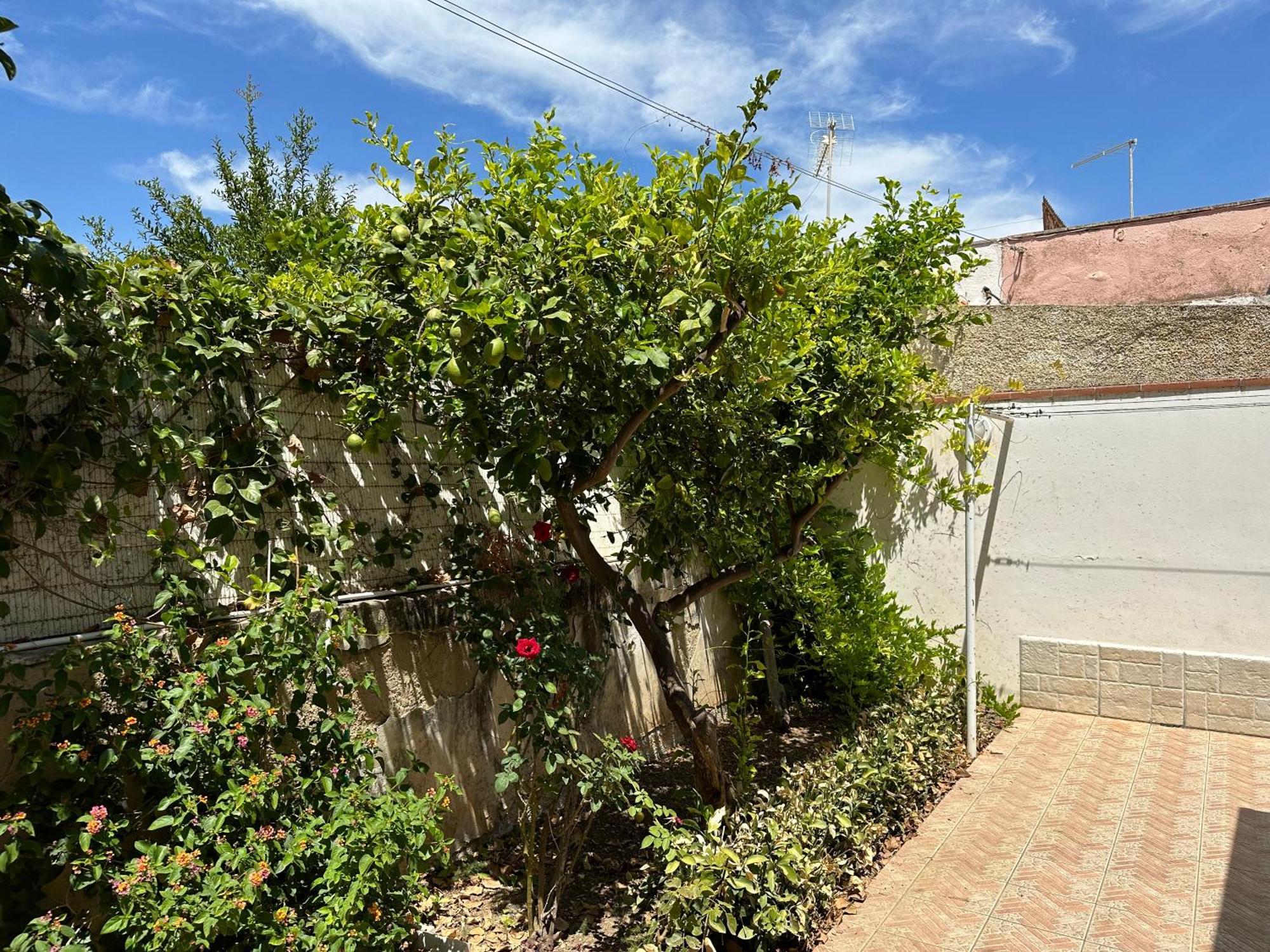 Villa San Leo San Leone Bagian luar foto